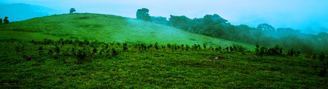 karnataka destination Coorg