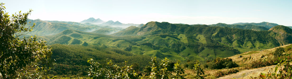kerala destination munnar