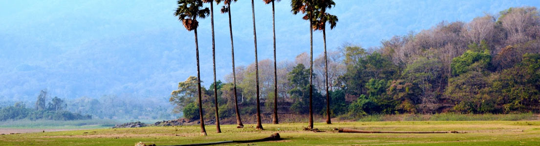 kerala destination palakkad
