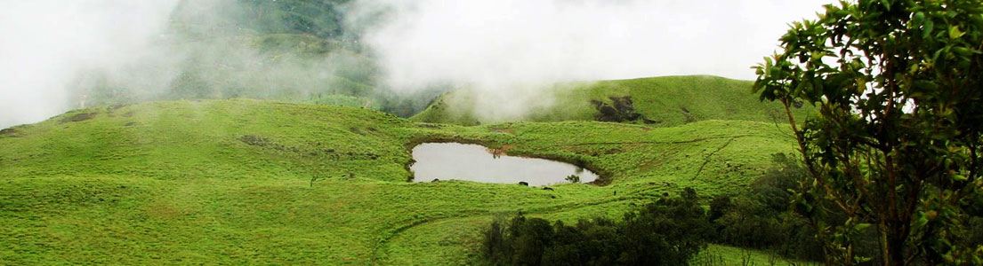 kerala destination wayanad