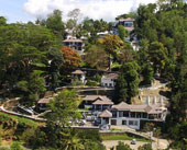 Forest Canopy Thekkady, 