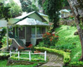 Great Escapes,Munnar