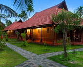 Kondai-Lip-Alleppey