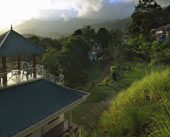 Birds Valley Resort – Munnar