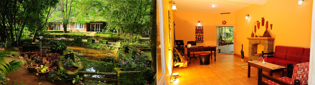 Falling Waters, Munnar 