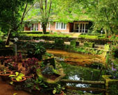 Falling Waters,Munnar