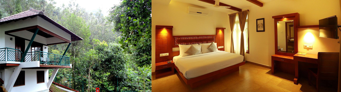 Forest Canopy, Thekkady