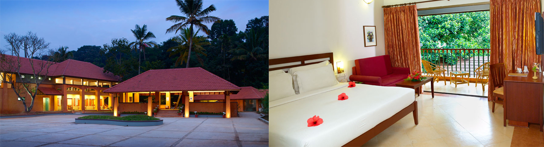 Green Forest, Thekkady