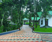 Misty Lake Resort Munnar