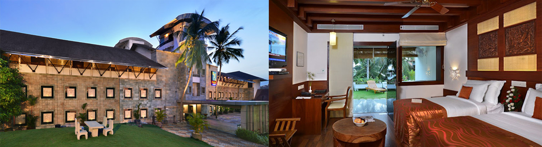 Turtle on the Beach, Kovalam