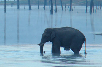 6 Days 5 Nights Nights Kerala  Packages - South chalo