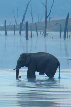 south india tour pakages - south chalo