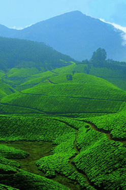 kerala tour pakages - south chalo