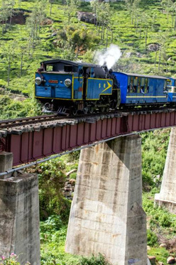 kerala tour pakages - south chalo