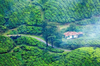 kerala tour pakages - south chalo