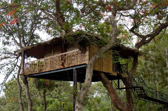 kerala tour pakages - south chalo