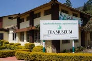 Munnar Tea Museum