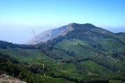 Munnar Pothamedu View Point