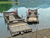 south chalo - Kerala tourism, places to visit in kerala, Parmabikulam wild life sanctuary