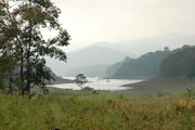 Thekkady Periyar National Park