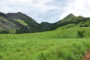 Wayanad Chembra Peak