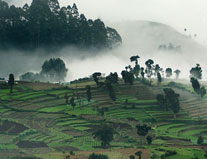 south chalo - Tamilnadu tourism, places to visit in tamilnadu