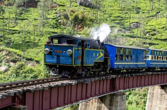 Exclusive South Summer  - South chalo